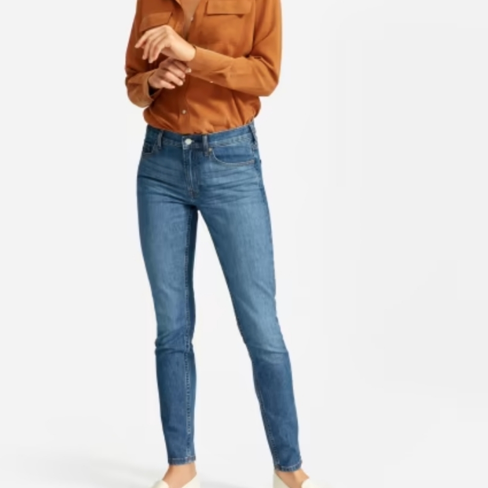 Everlane The Mid-Rise Skinny Jeans
